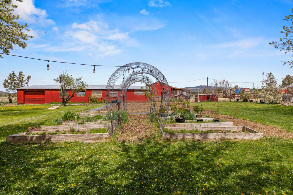 Bonanza - Farm