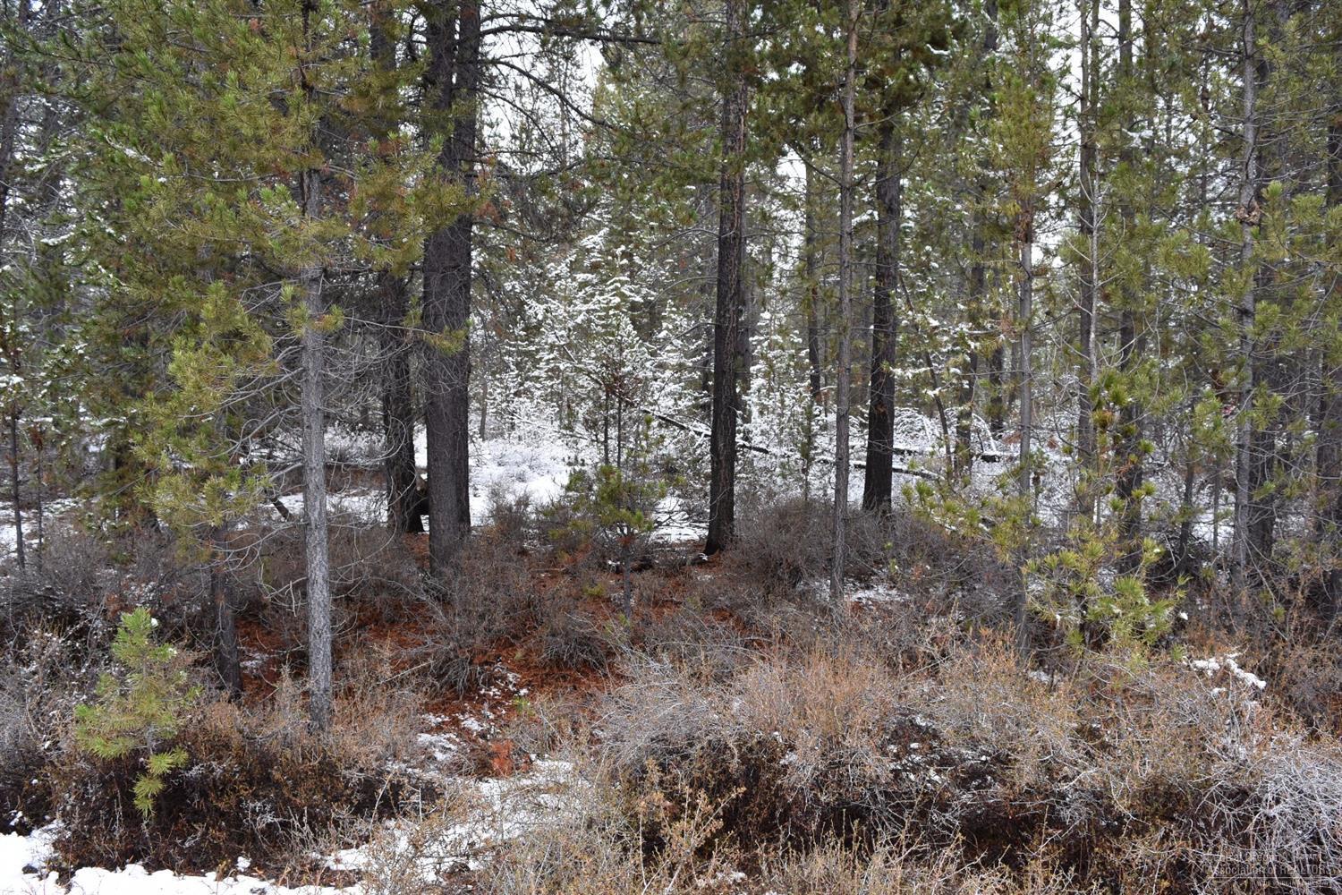 Vacant lot ready for you to make it yours! Nestled in the mature pines, yet on a well maintained street, you'll have plenty of space to build your dream home & shop. Lot is flat, well treed and very private. Area of standard septic systems & Midstate power at the street. Close to La Pine State Park, the Deschutes River, Mt Bachelor & more - adventures await!