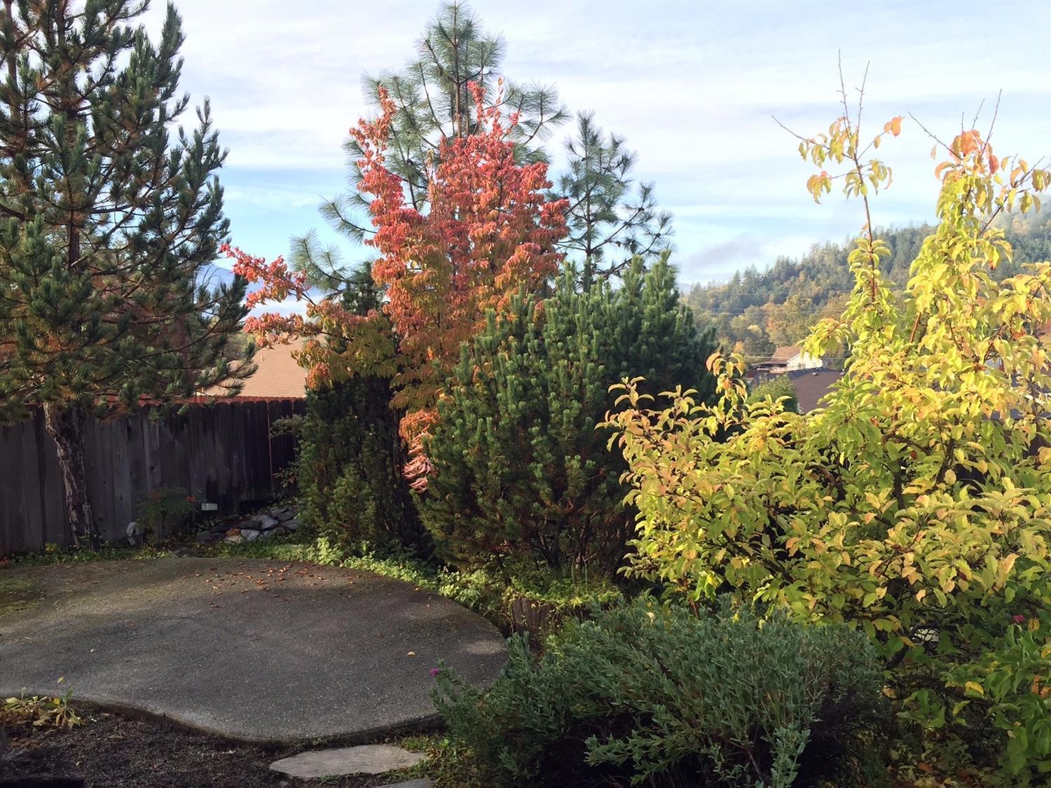 Williams Crossing - Residential