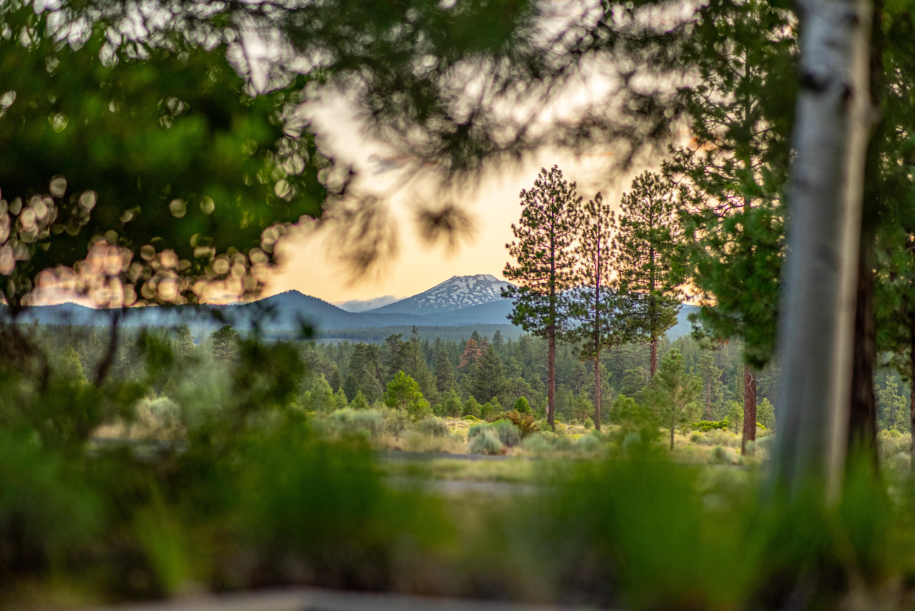 Shevlin Commons - Residential