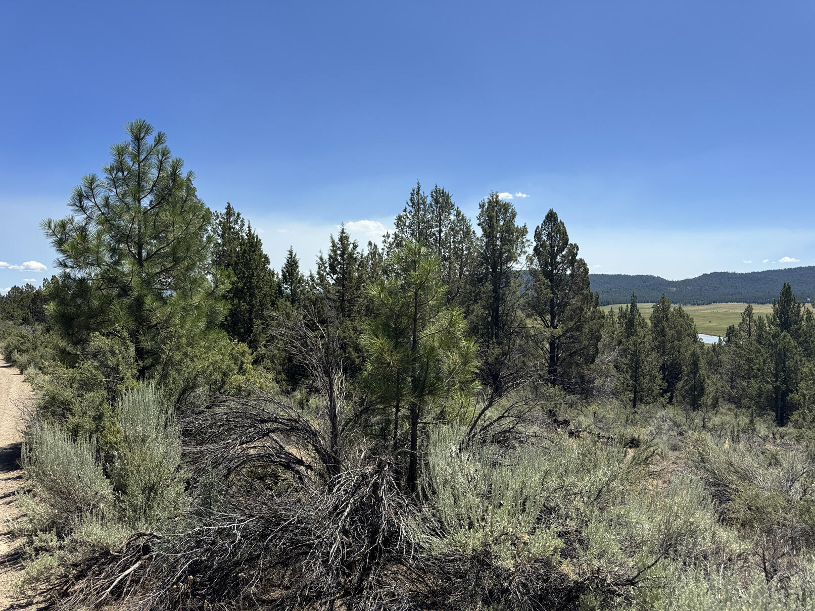 Nimrod River Park - Land