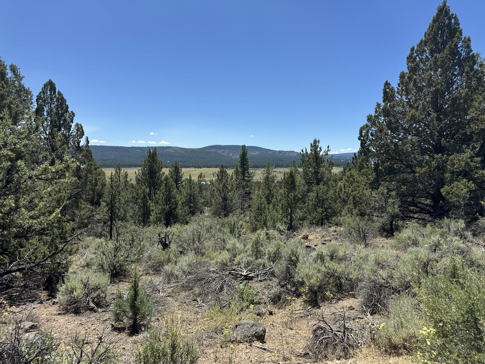 Nimrod River Park - Land
