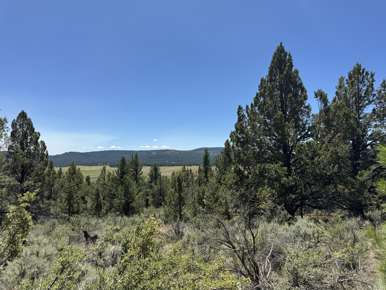 Nimrod River Park - Land