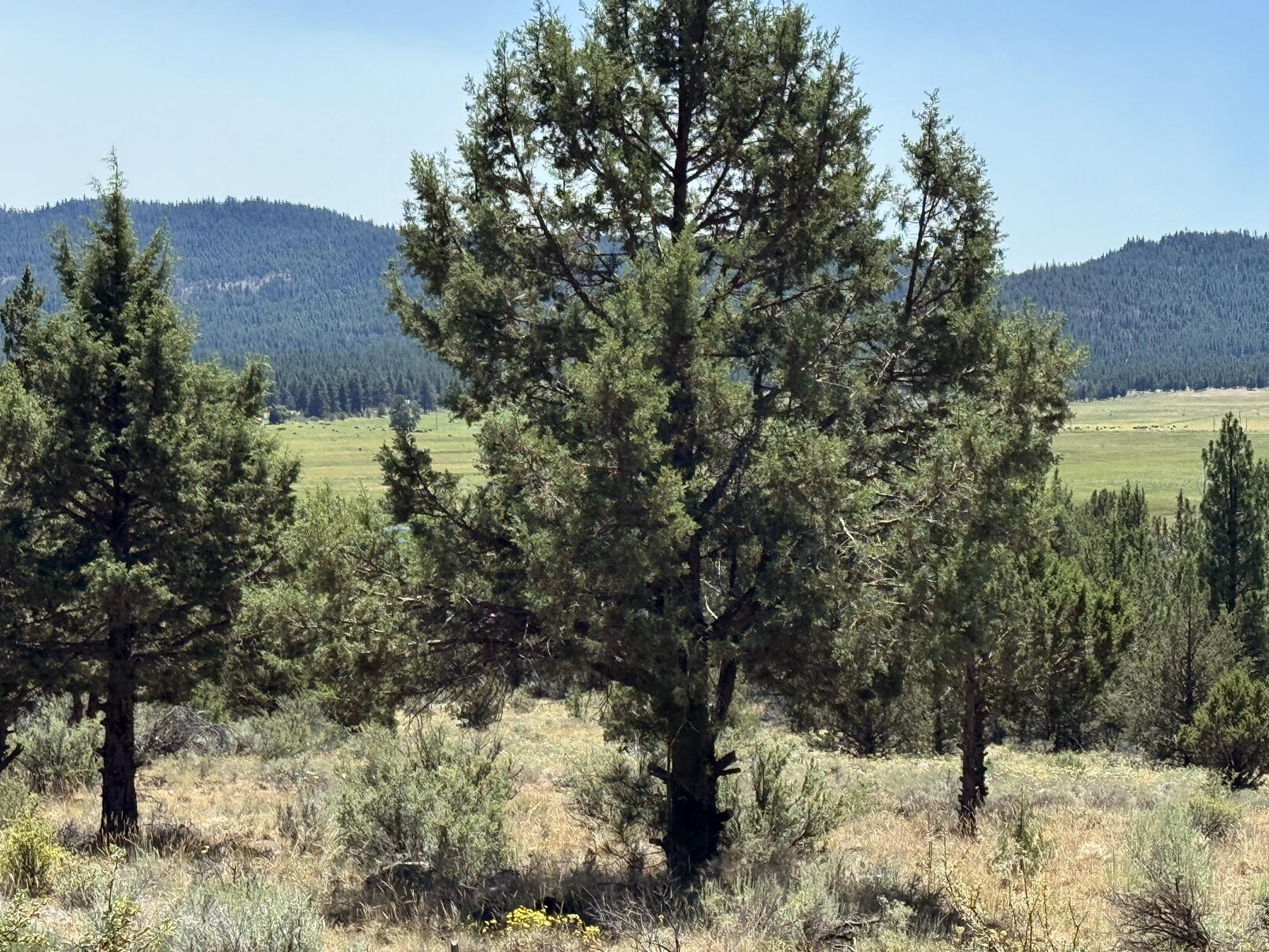 Nimrod River Park - Land