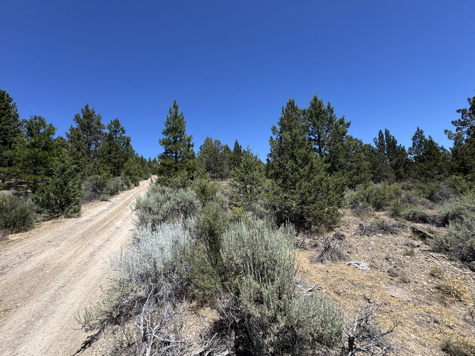 Nimrod River Park - Land