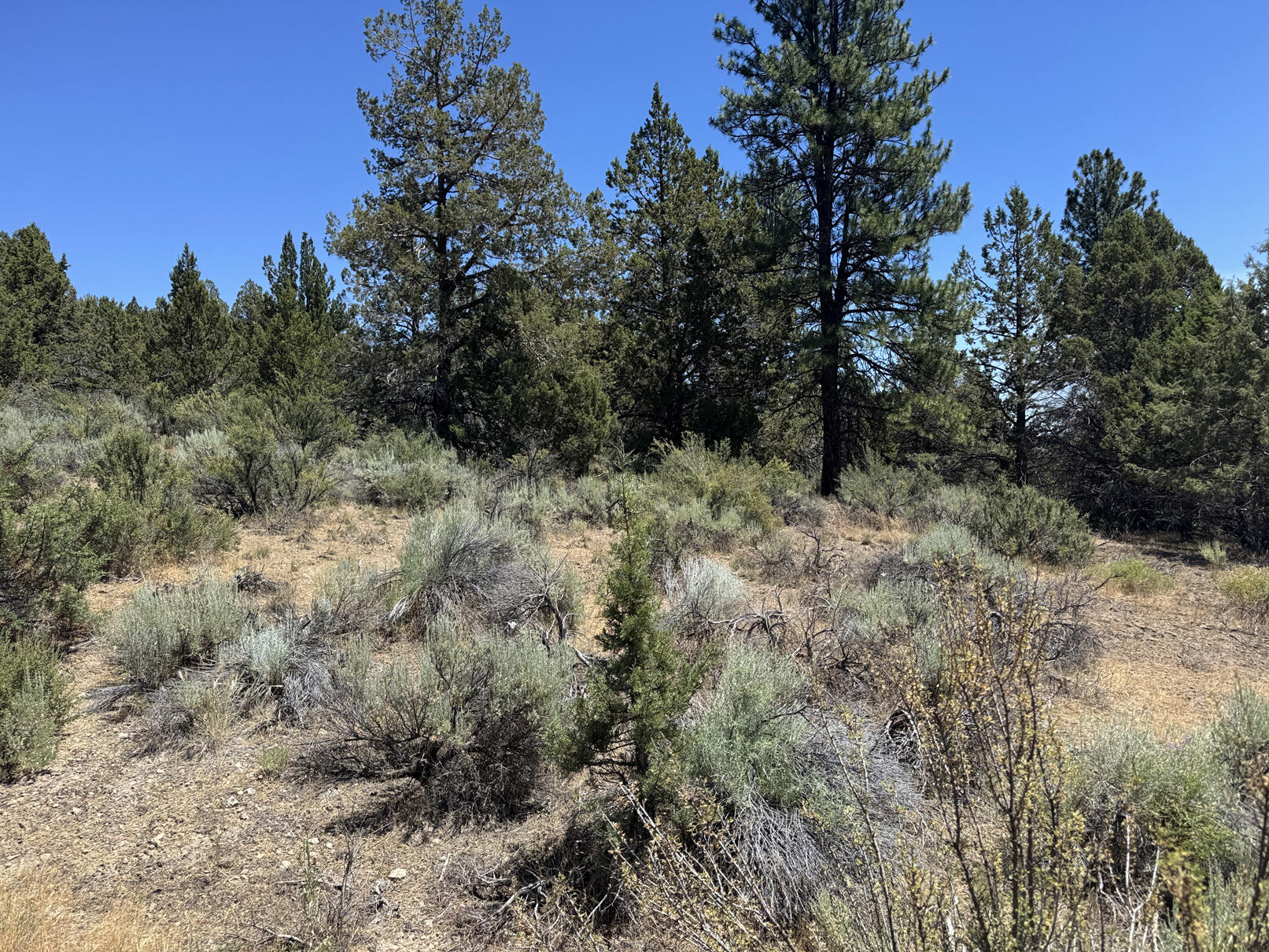 Nimrod River Park - Land