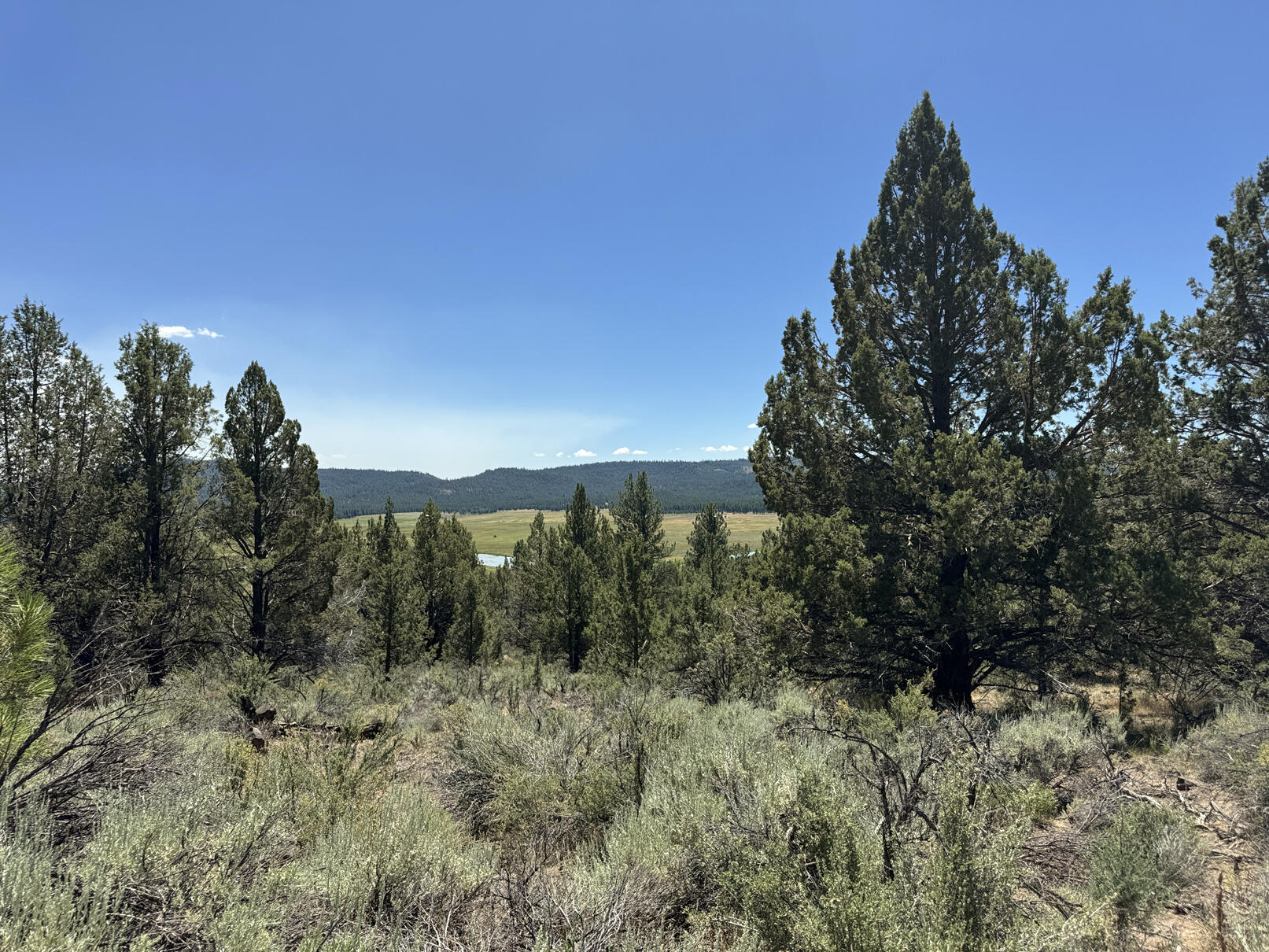 Nimrod River Park - Land