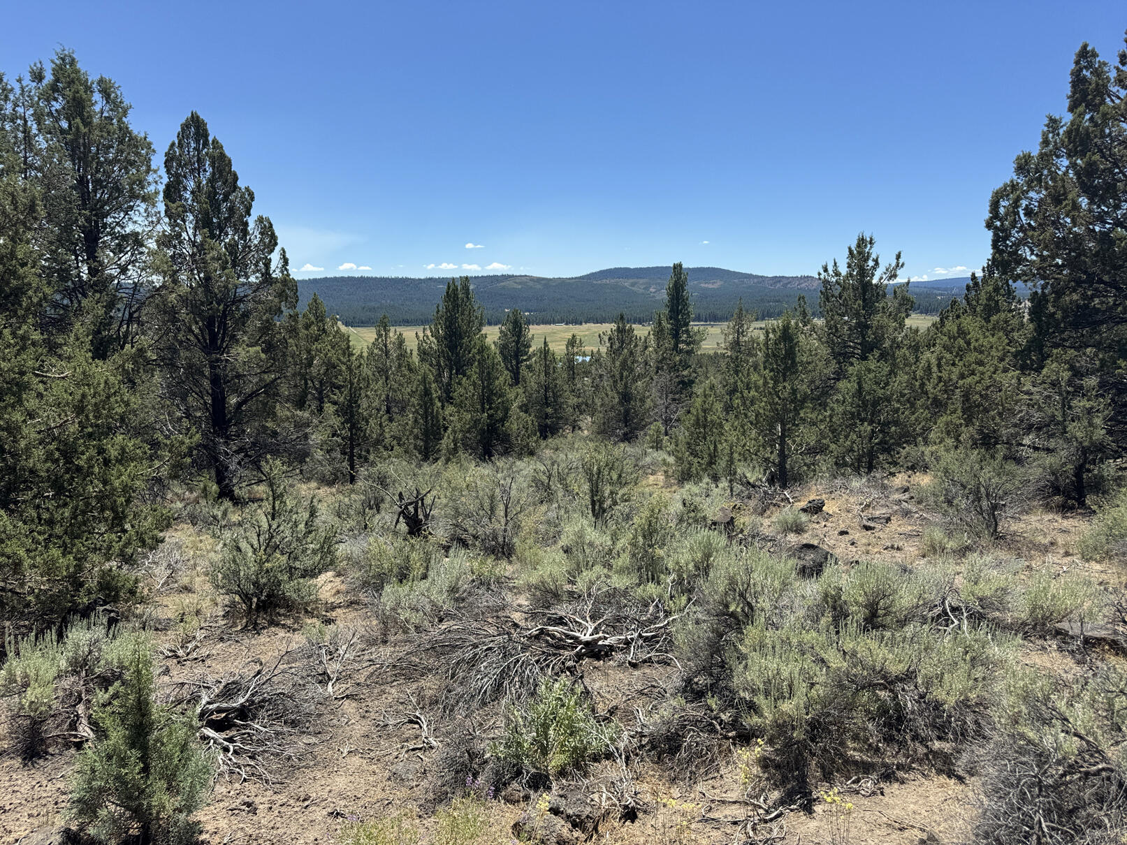 Nimrod River Park - Land