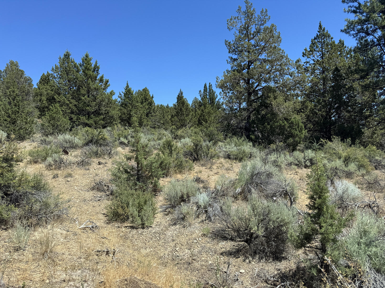 Nimrod River Park - Land