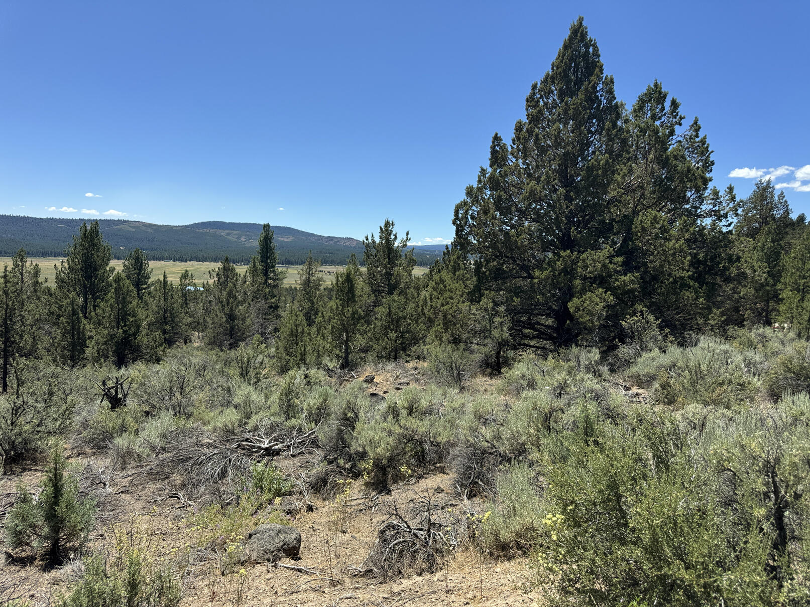 Nimrod River Park - Land