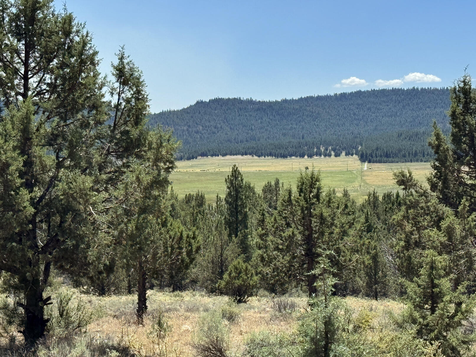 Nimrod River Park - Land