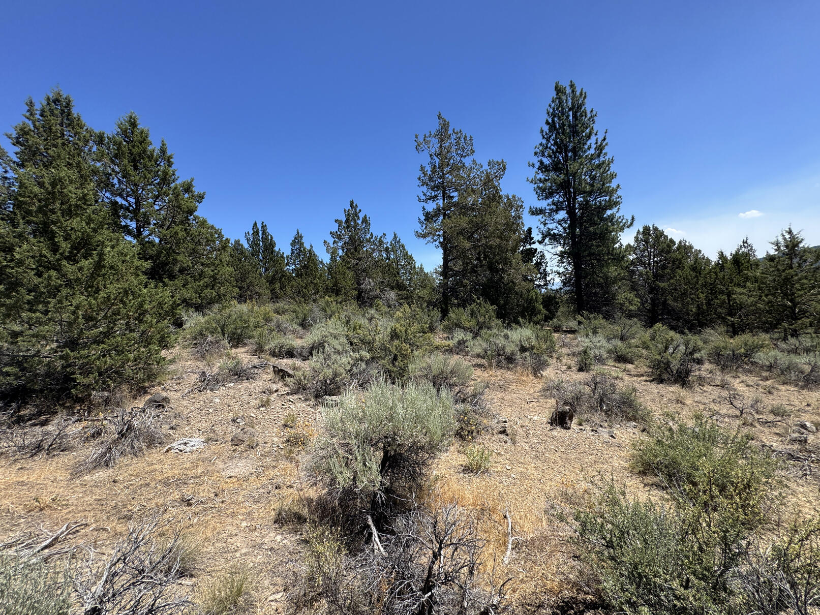 Nimrod River Park - Land