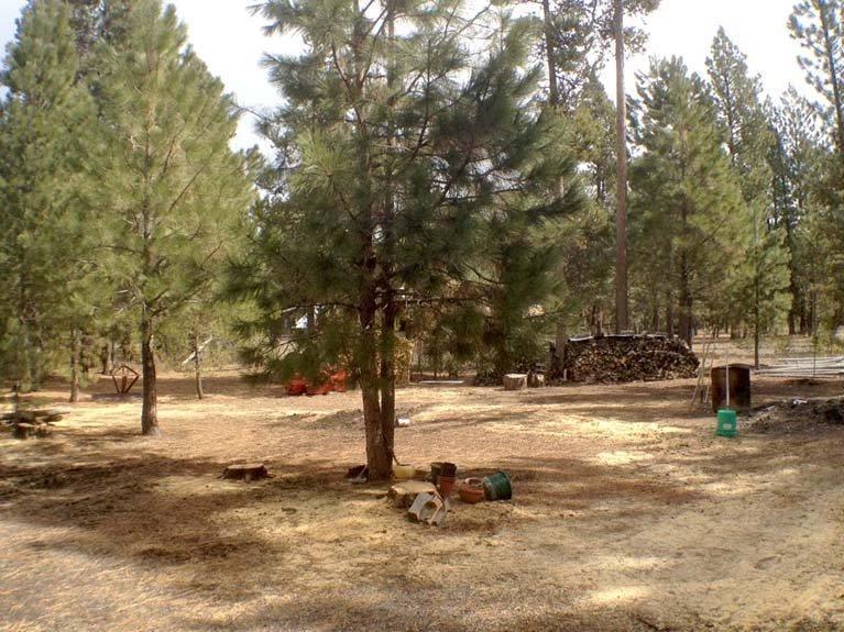 Wagon Trail Acreages - Residential