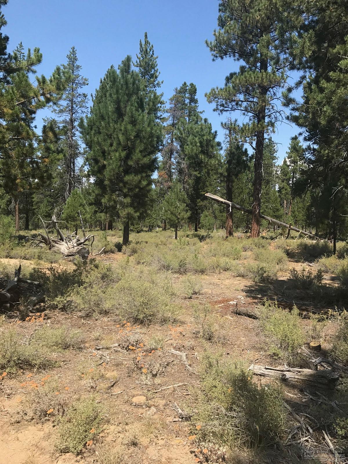 Location, Location, Location. Gateway to the Cascades, property abuts Deschutes National Forest Lands! Where the outdoor meets your backdoor, skiing, fishing, snowmobiling & hiking. Adjoining 1.9 acre lot is also available.