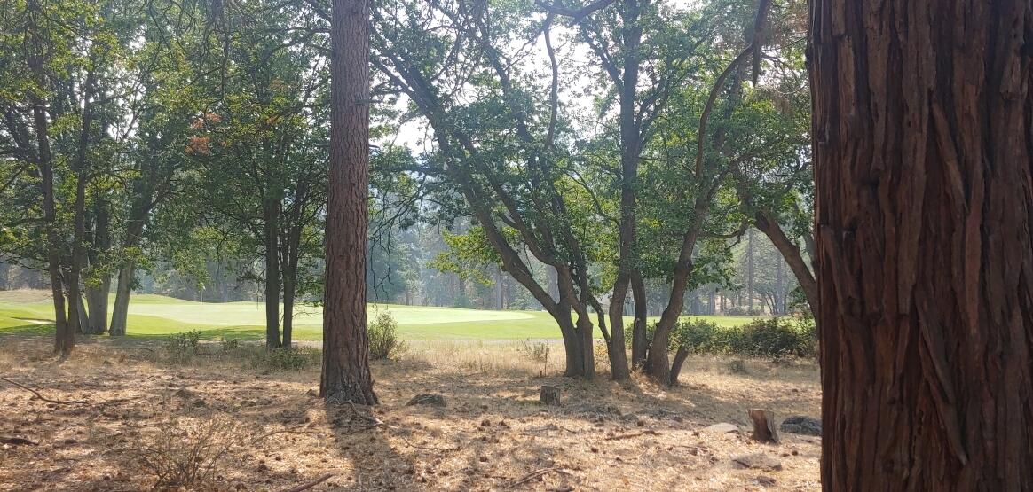 Exceptional golf course home site at the Running Y Resort. The owners had early pick of home sites with original Running Y  release and they chose THIS one!  The views of #6 green are expansive and the site boasts  a variety of mature beautiful trees.  A level, .39 acre, there is 113 feet on the course and same on the street.  Purchase now and build your dream home later.