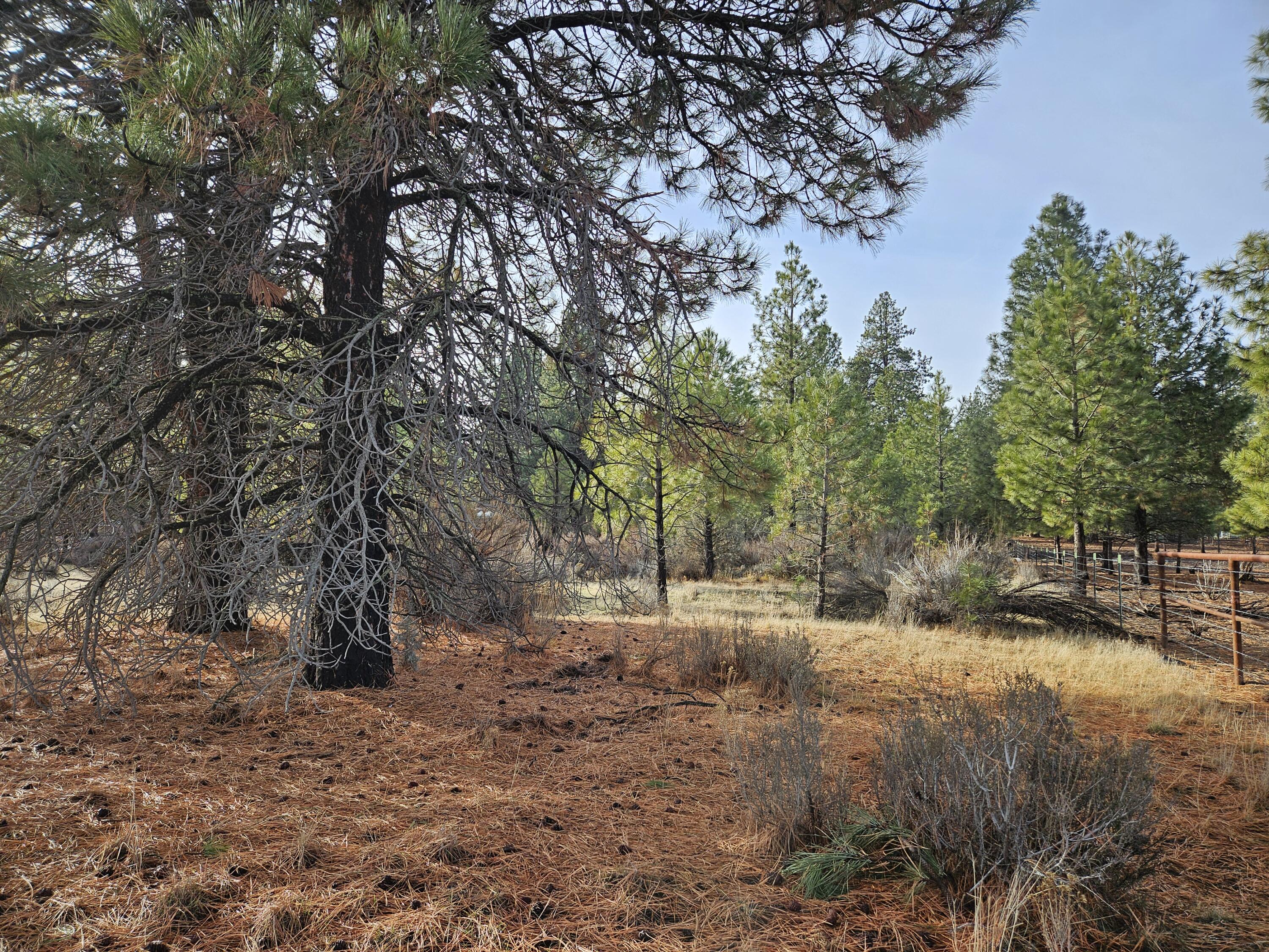 Klamath Falls Forest Estates -Hwy 66 Unit -Plat No. 2 - Land