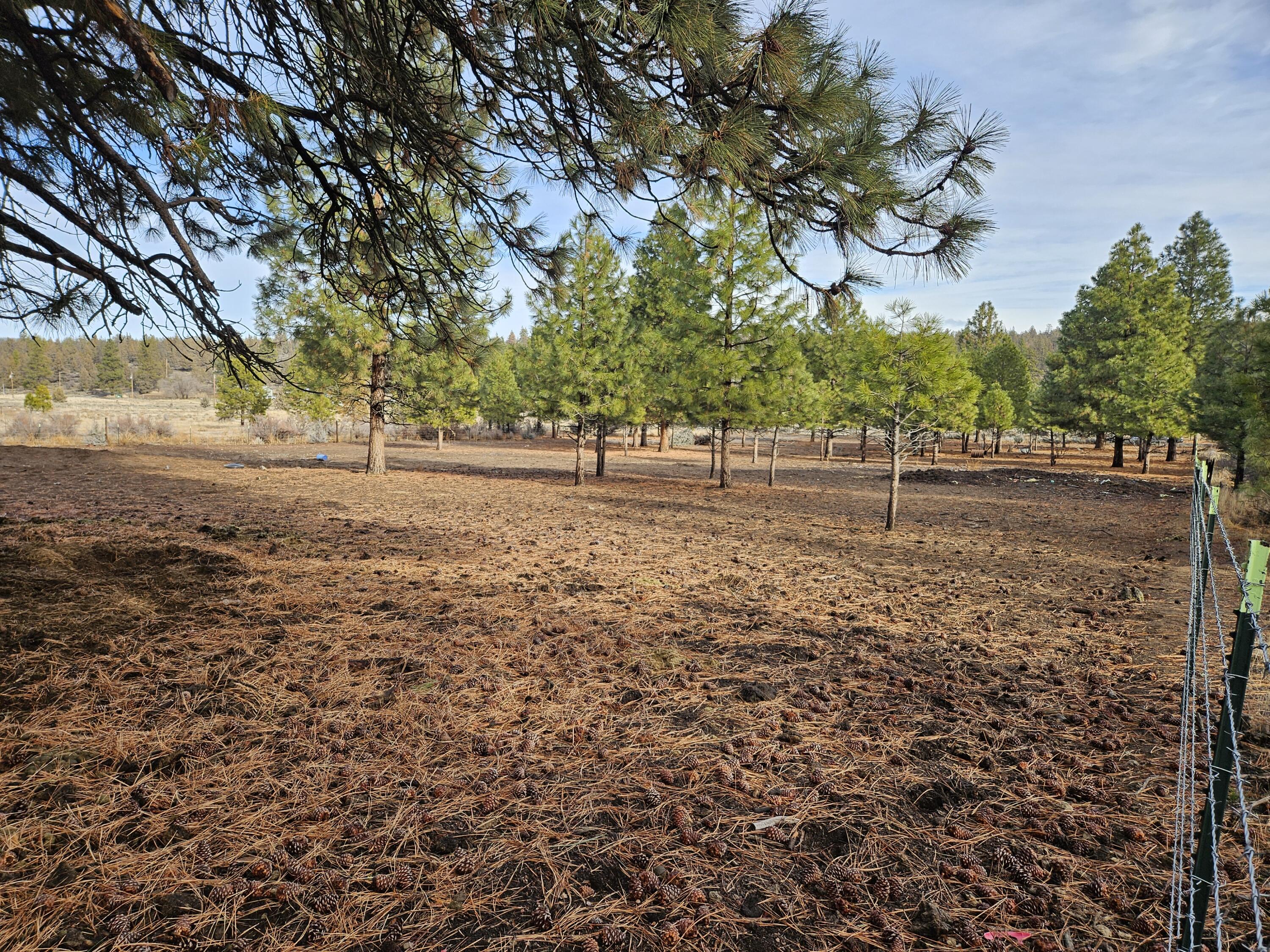 Klamath Falls Forest Estates -Hwy 66 Unit -Plat No. 2 - Land