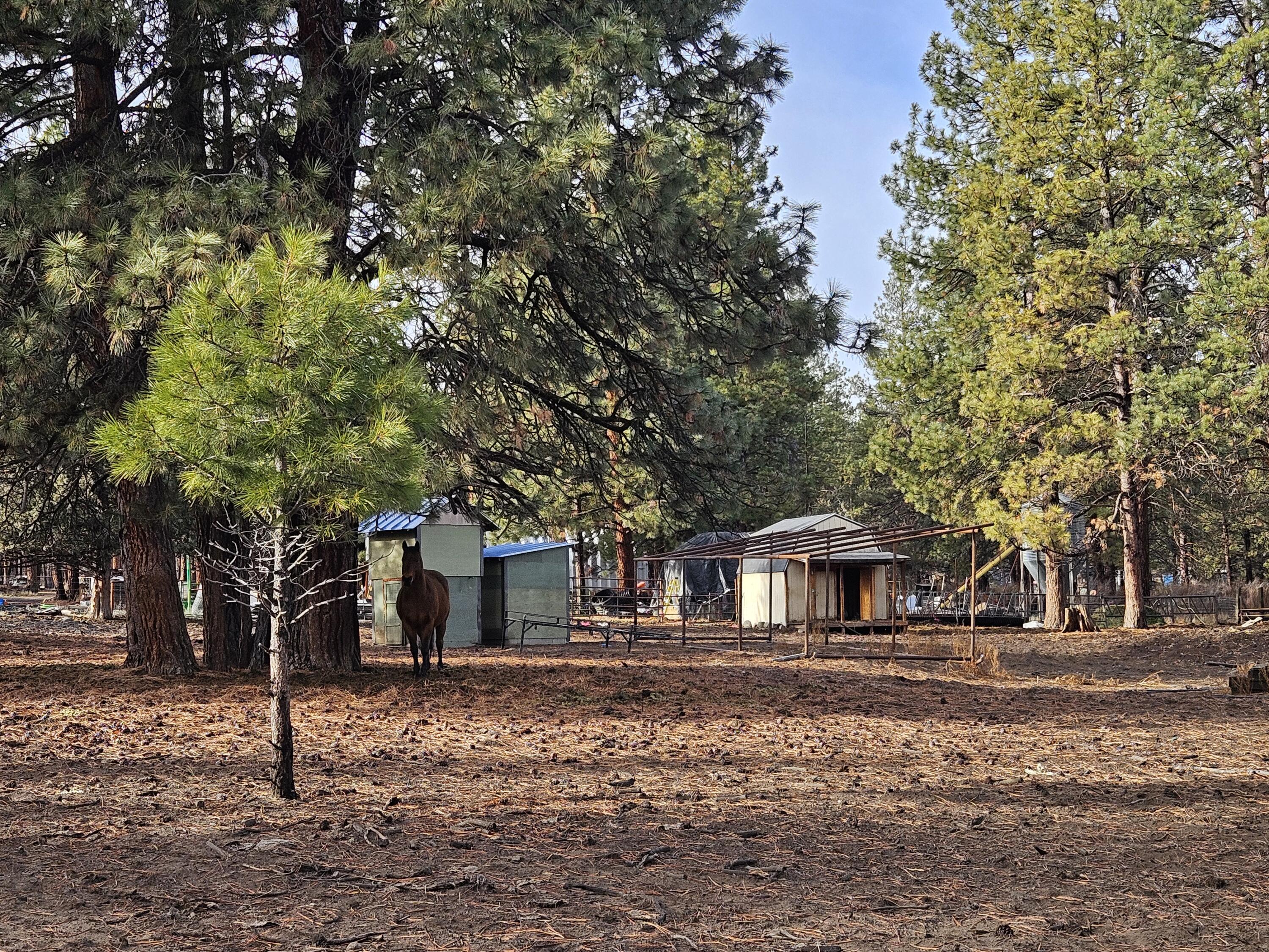 This property is suitable for one, or two homes. Has well and septic on one lot.
Acreage: Nearly 4 acres of mostly flat terrain.
Landscape: Well-treed with mature Ponderosa pines, offering a park-like setting.
Infrastructure:
Fencing: One parcel is perimeter-fenced, designed for horses.
Power: Utility lines are located within 1/4 mile of the property boundary.
Access: Features good all-year road access via maintained gravel roads.
Location: Situated just a few miles from the town of Bonanza and an easy drive to Klamath Falls.