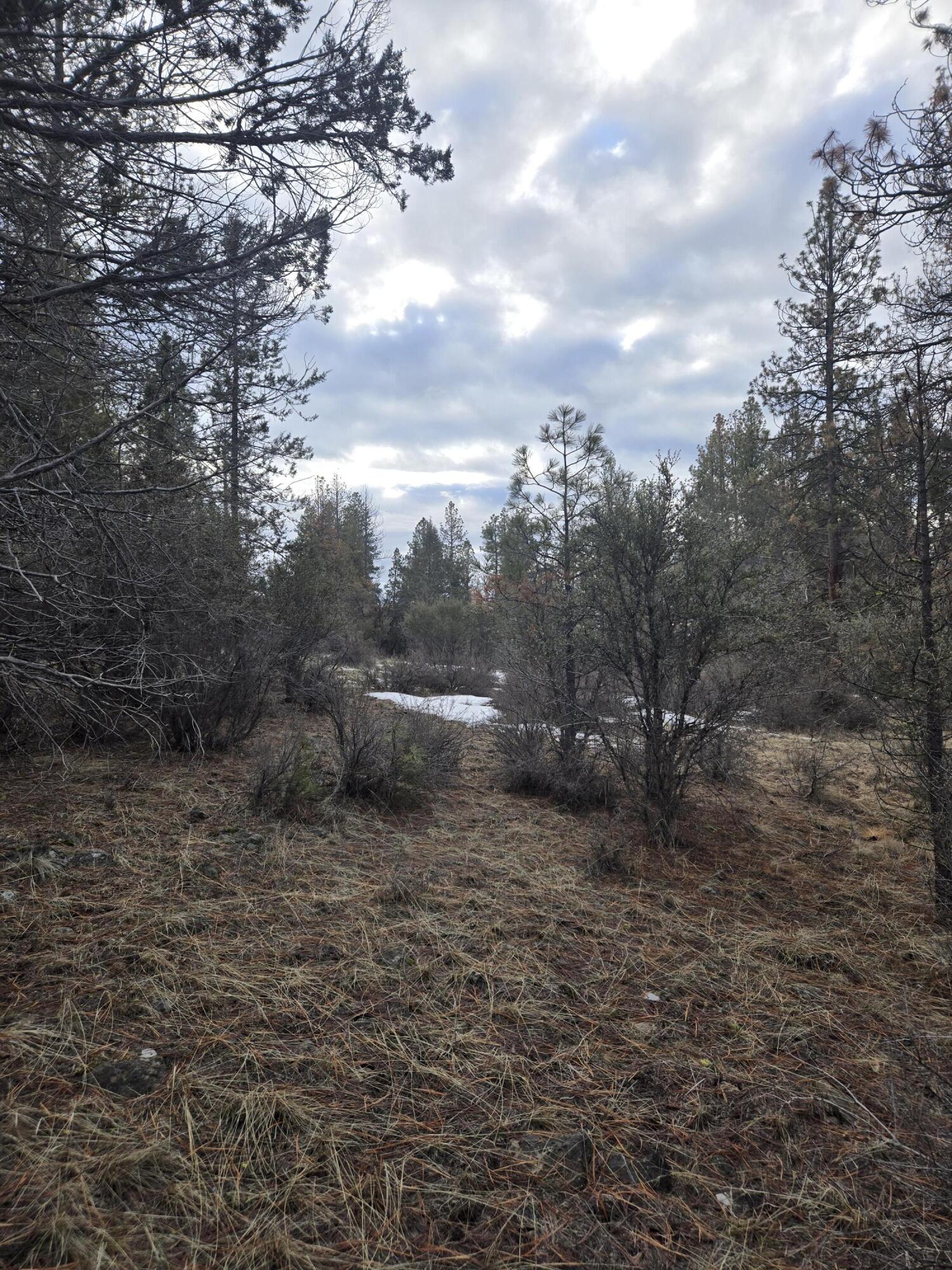 Klamath Forest Estates - Land