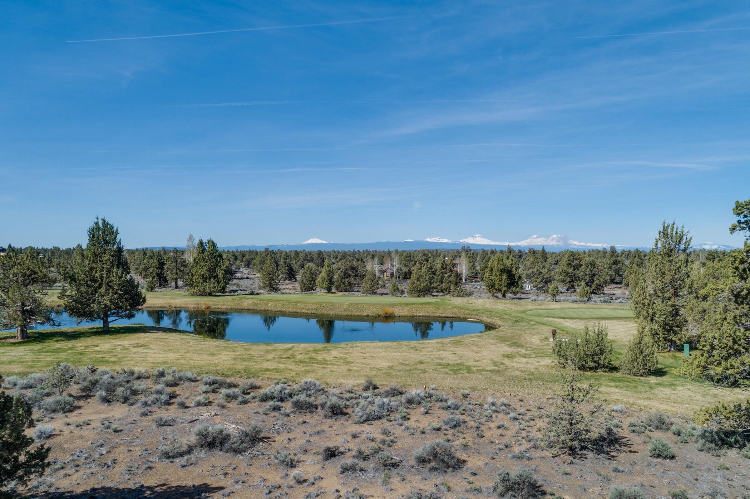 Pronghorn - Land