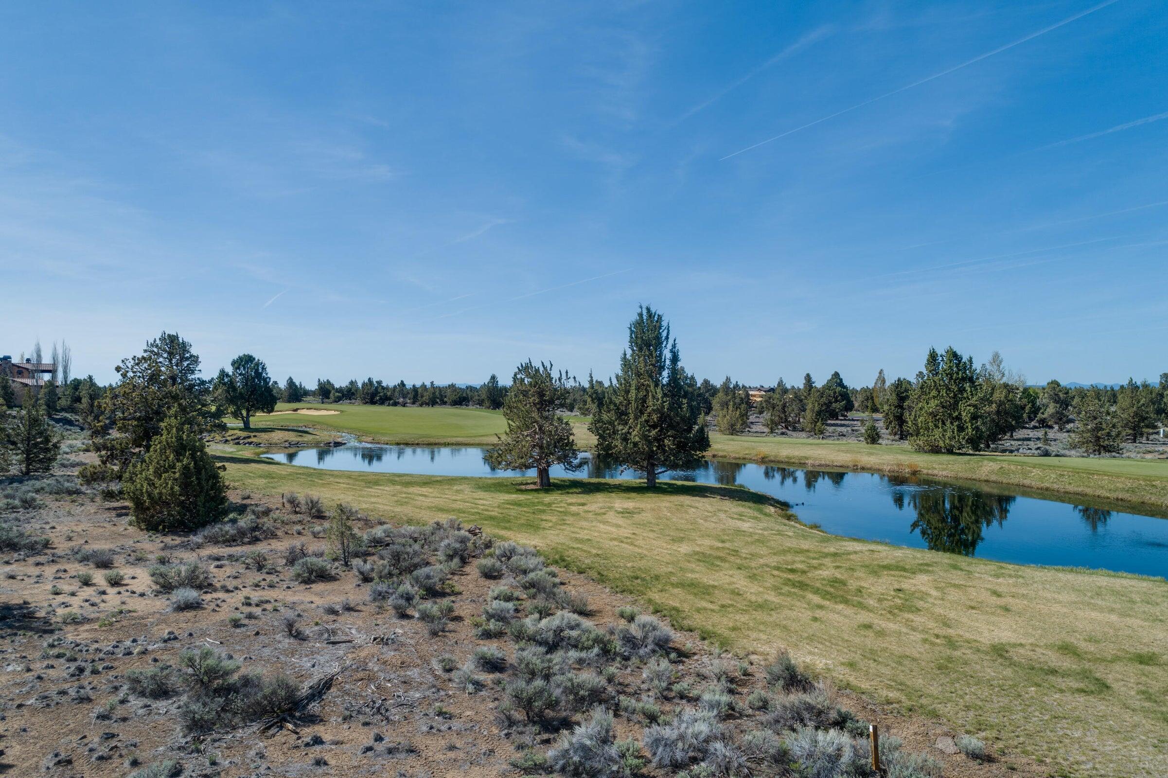 Pronghorn - Land
