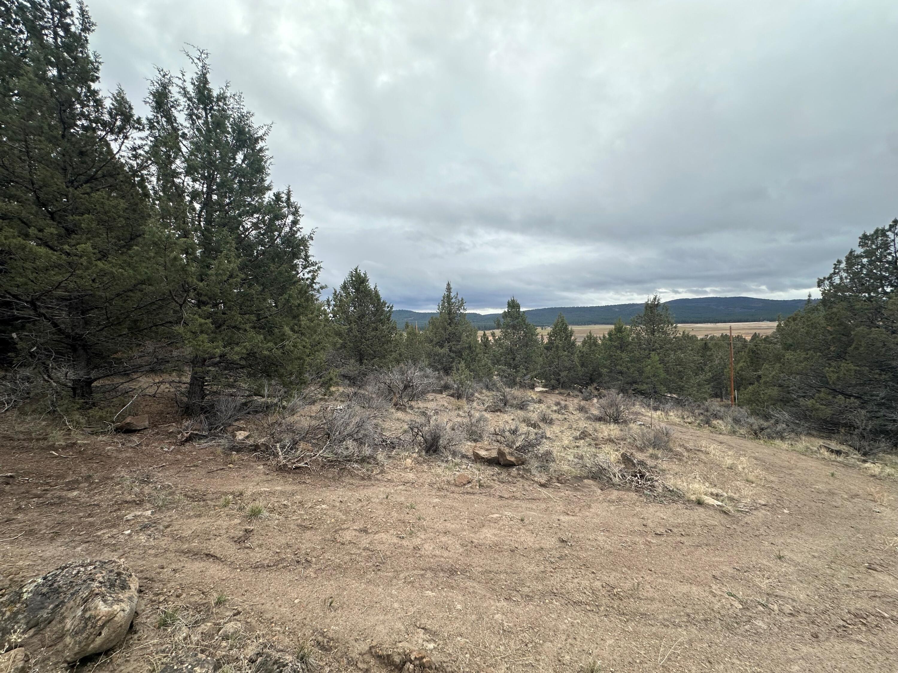 Nimrod River Park - Land