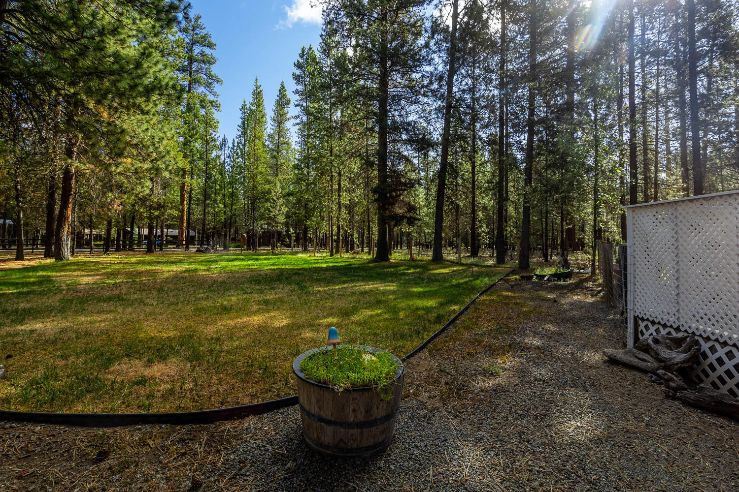 Ponderosa Pines - Residential