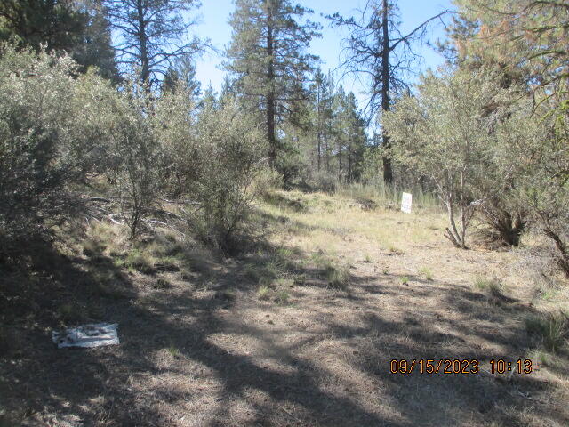 Klamath Falls Forest Estates Hwy 66 Unit Plat 4 - Land