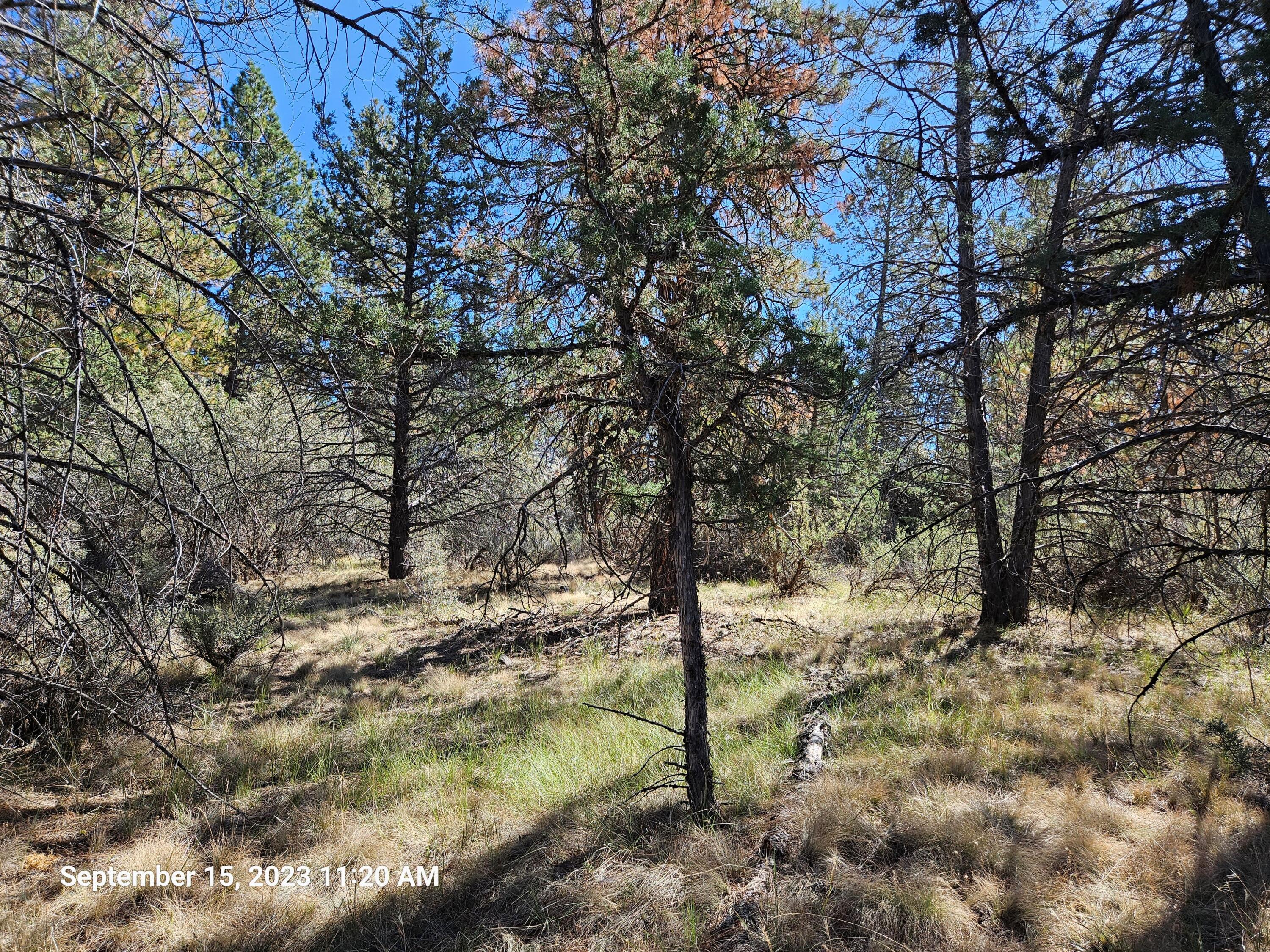 Klamath Falls Forest Estates Hwy 66 Unit Plat 4 - Land