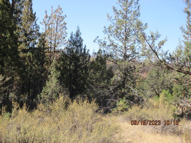 Klamath Falls Forest Estates Hwy 66 Unit Plat 4 - Land