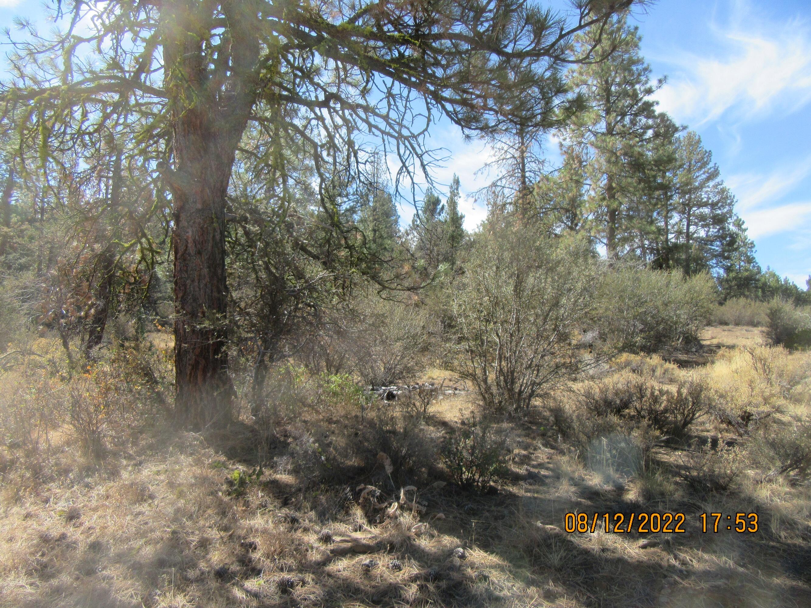 Klamath Falls Forest Estates Hwy 66 Unit Plat 4 - Land