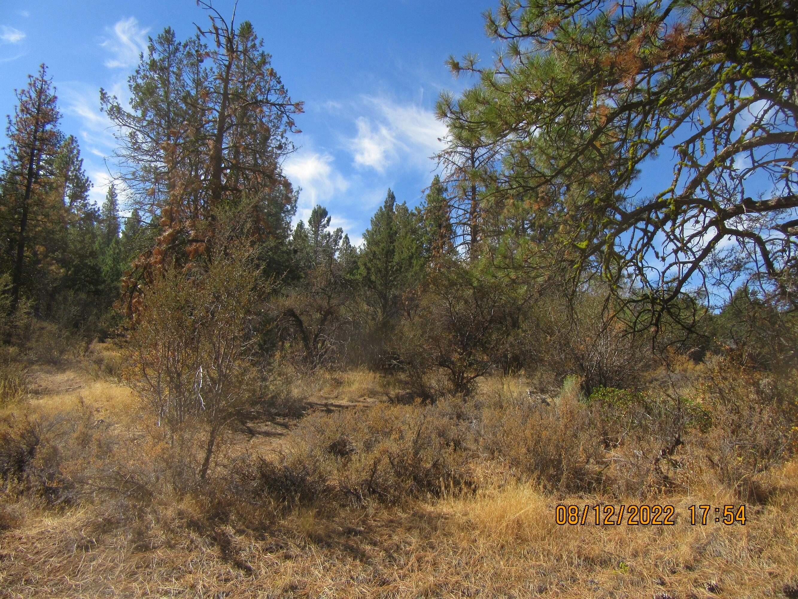 Klamath Falls Forest Estates Hwy 66 Unit Plat 4 - Land
