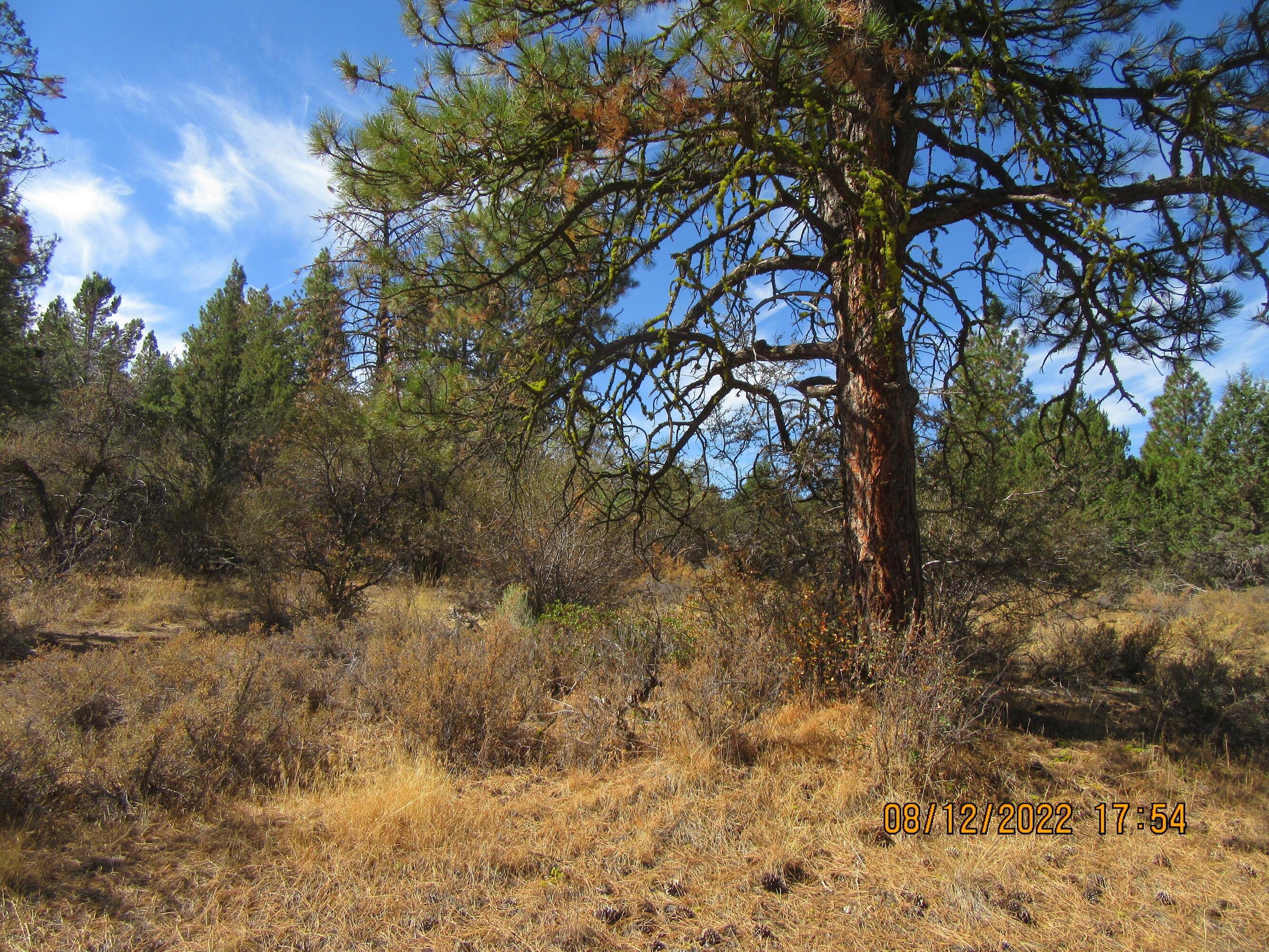 Klamath Falls Forest Estates Hwy 66 Unit Plat 4 - Land
