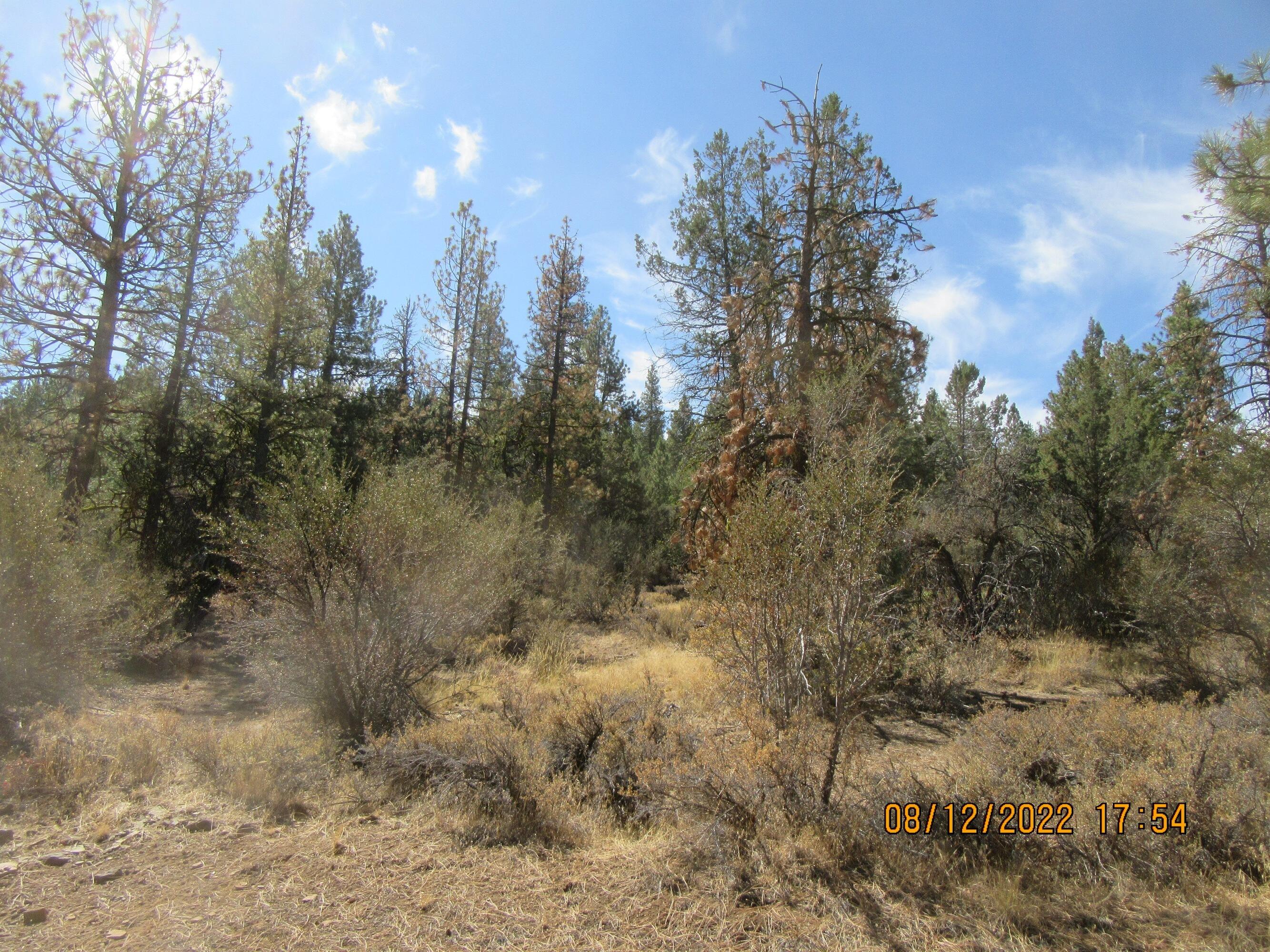 Klamath Falls Forest Estates Hwy 66 Unit Plat 4 - Land