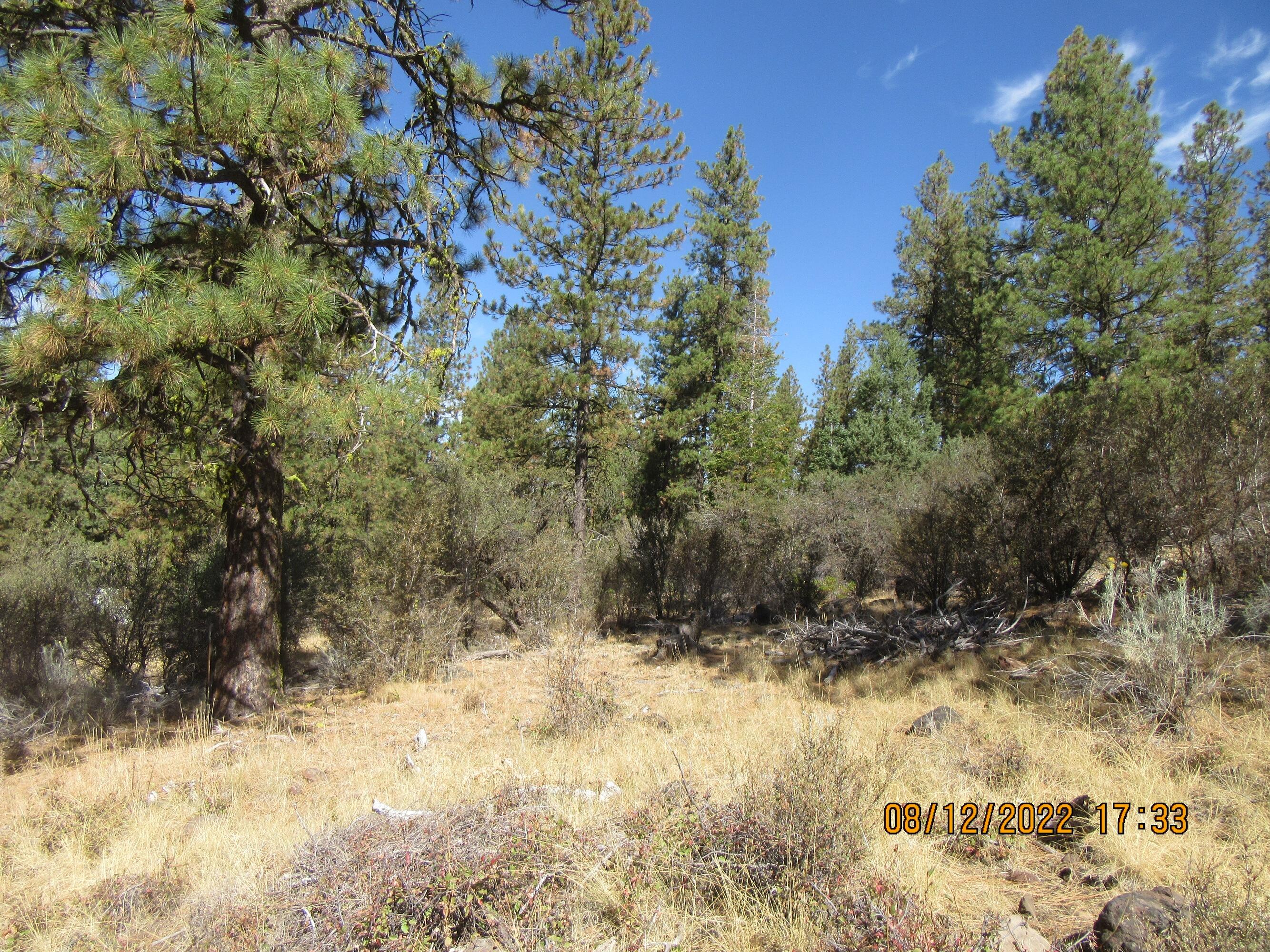 Klamath Falls Forest Estates Hwy 66 Unit Plat 4 - Land
