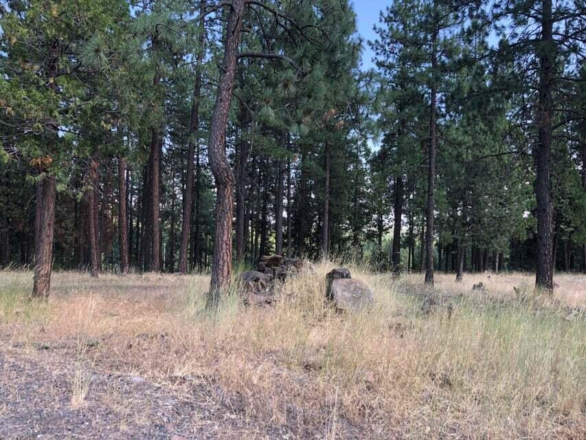 This 1.92 acre lot has a beautiful location in the Klamath River Acres Subdivision. Just 15 minutes from Klamath Falls and about an hour to Ashland. This property already has a well...just needs a well pumped installed.