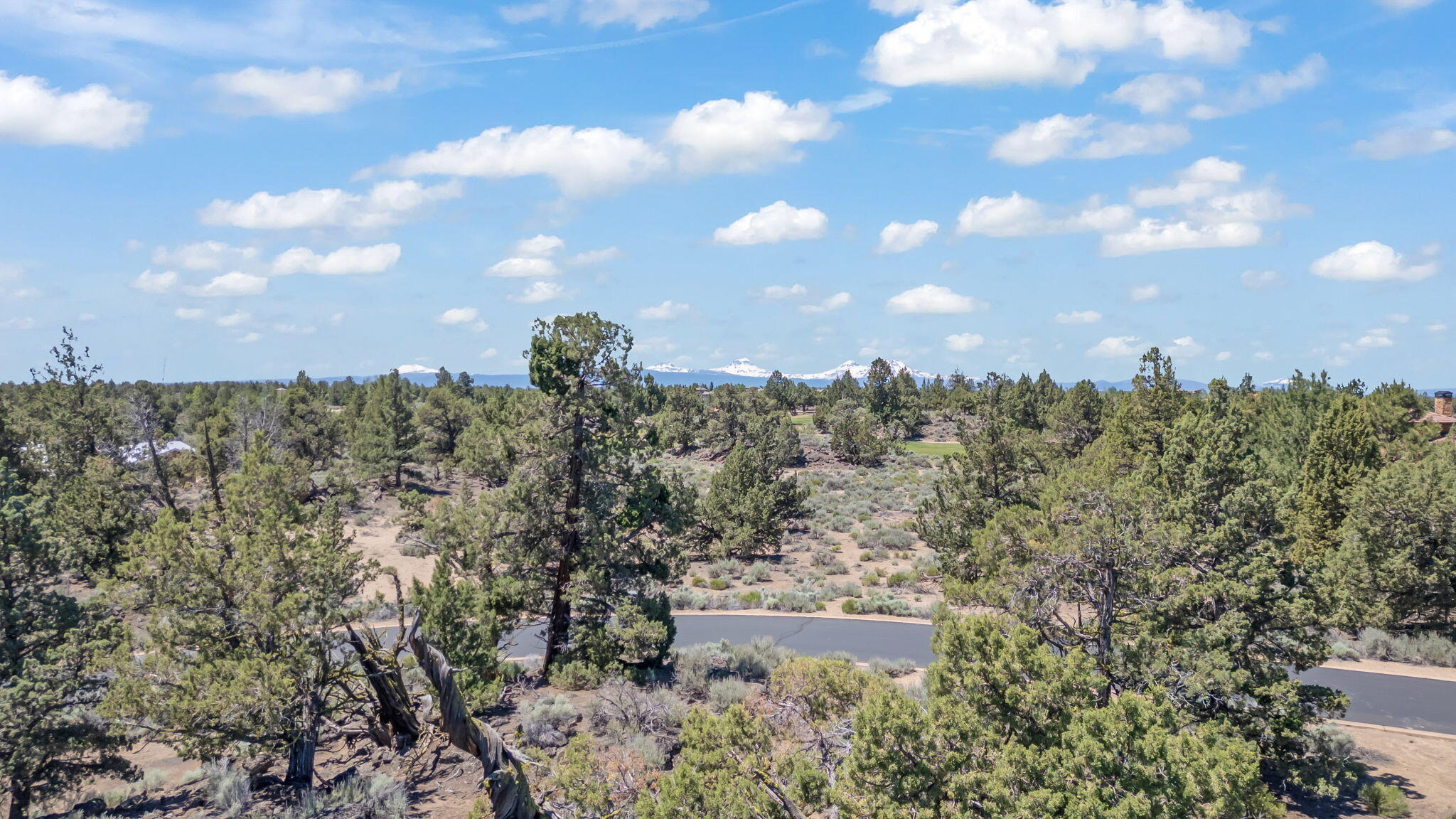 Pronghorn - Land