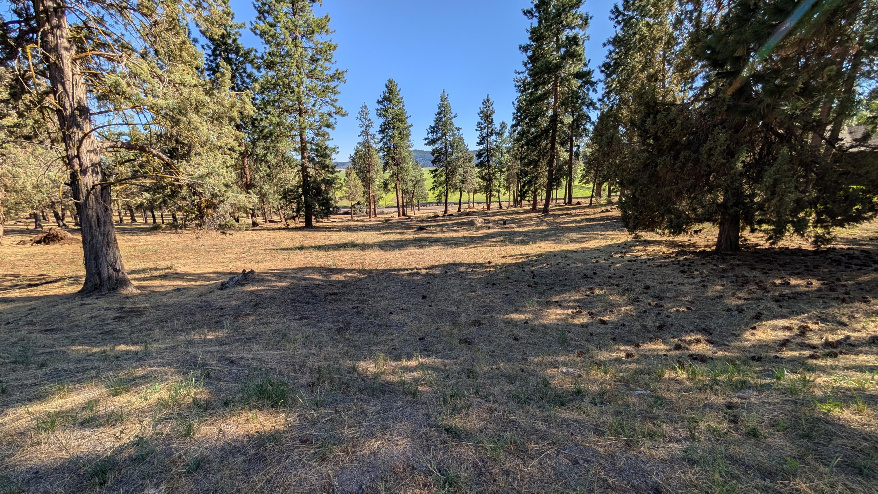 Running YResort - Land