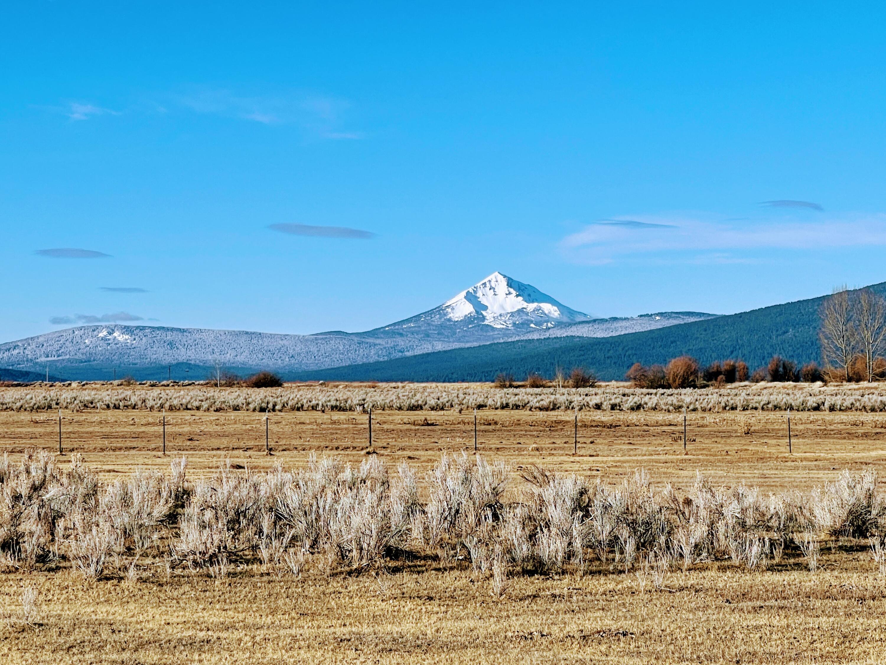Sportsman paradise featuring 3200 feet of Williamson River frontage near the end of its journey where it enters Upper Klamath Lake. 303 +/- acres of excellent grazing land. The property is fenced and cross fenced with working corrals. 181.5 acres are irrigated. Zoning is EFU- exclusive farm. Views of the Cascade Mountains and the rim of Crater Lake highlight the picturesque setting. Home is of no value but holds the home site. Power is located on the property (three phase). Good access from a paved public road. Buyer to perform their own due diligence regarding all aspects of the property.