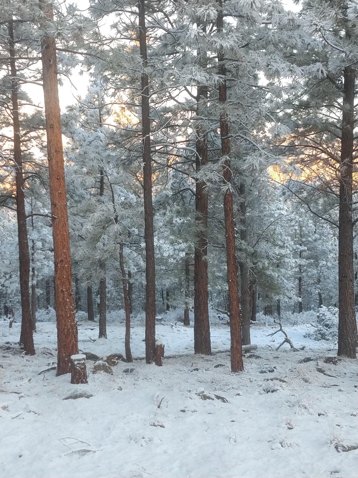 N/A - Land