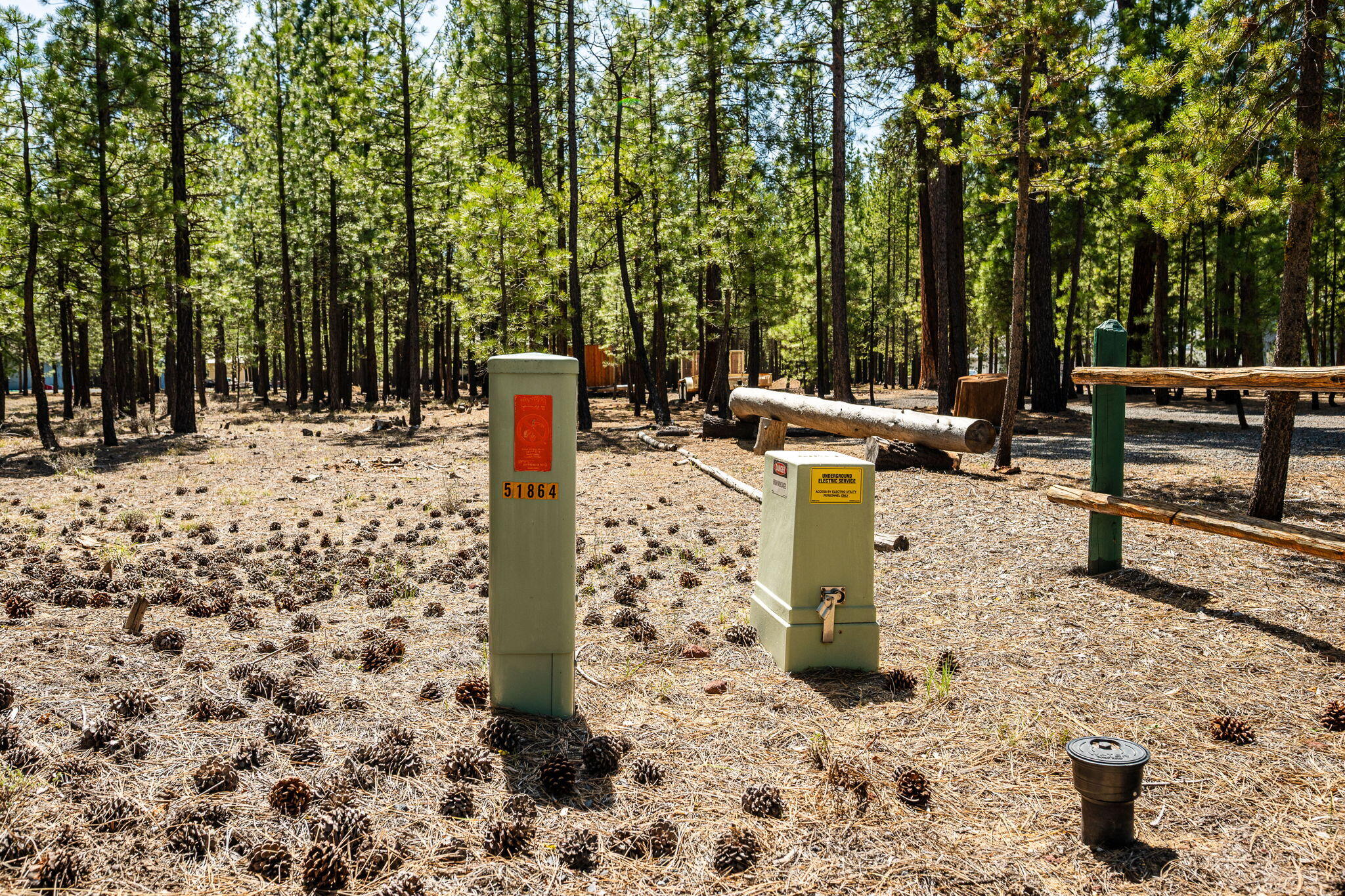 Ponderosa Pines - Land