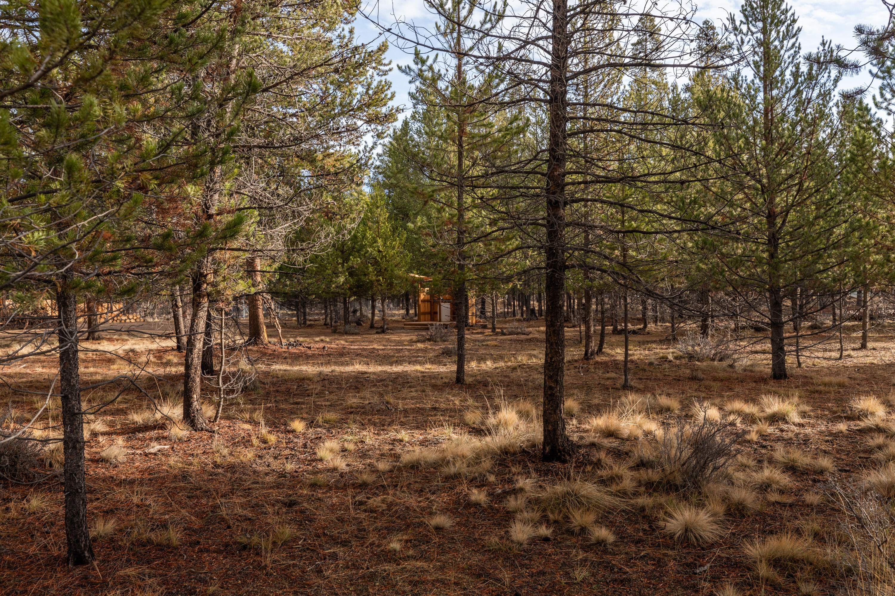 Sun Forest Estates - Land