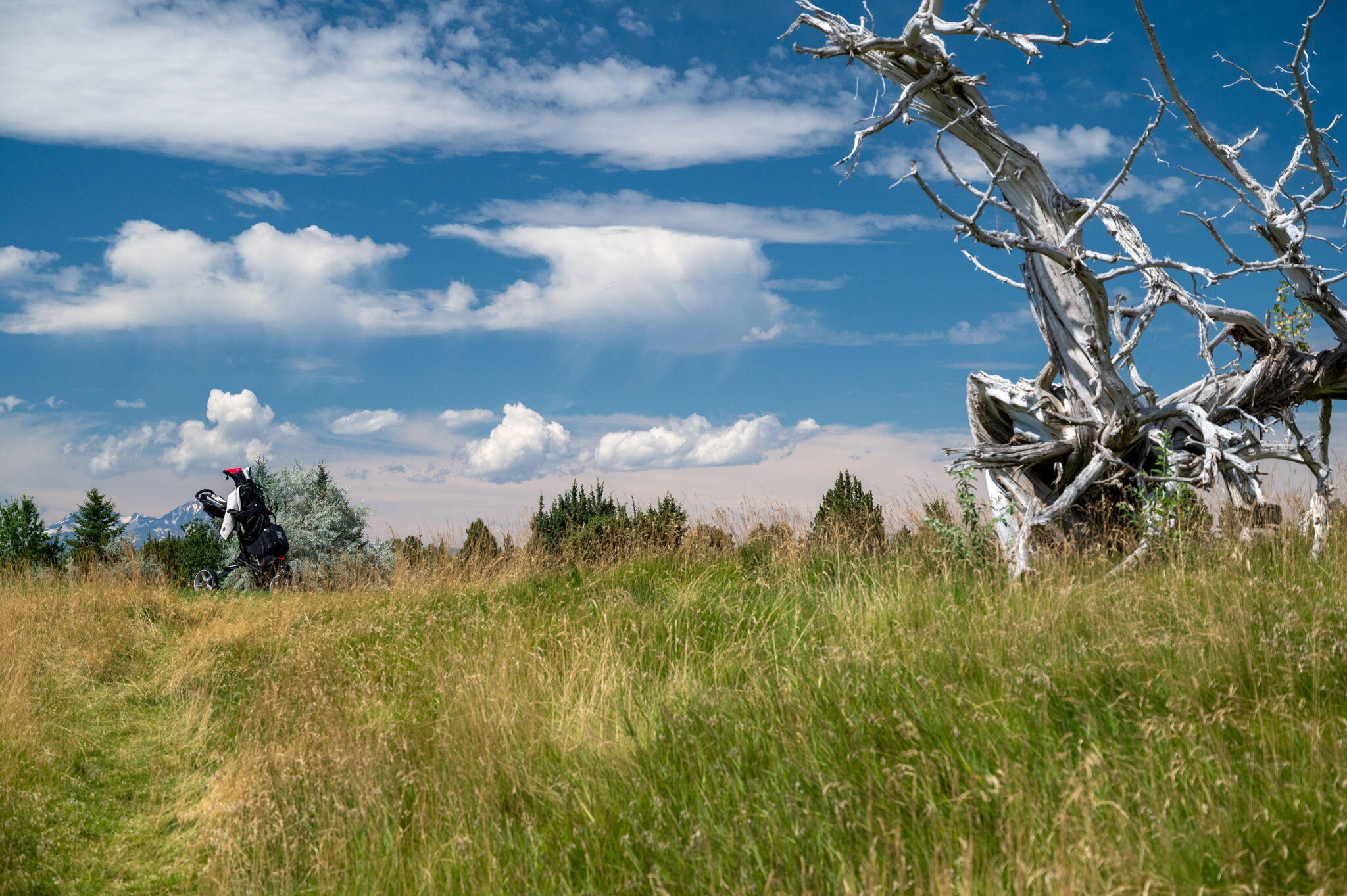 Pronghorn - Residential