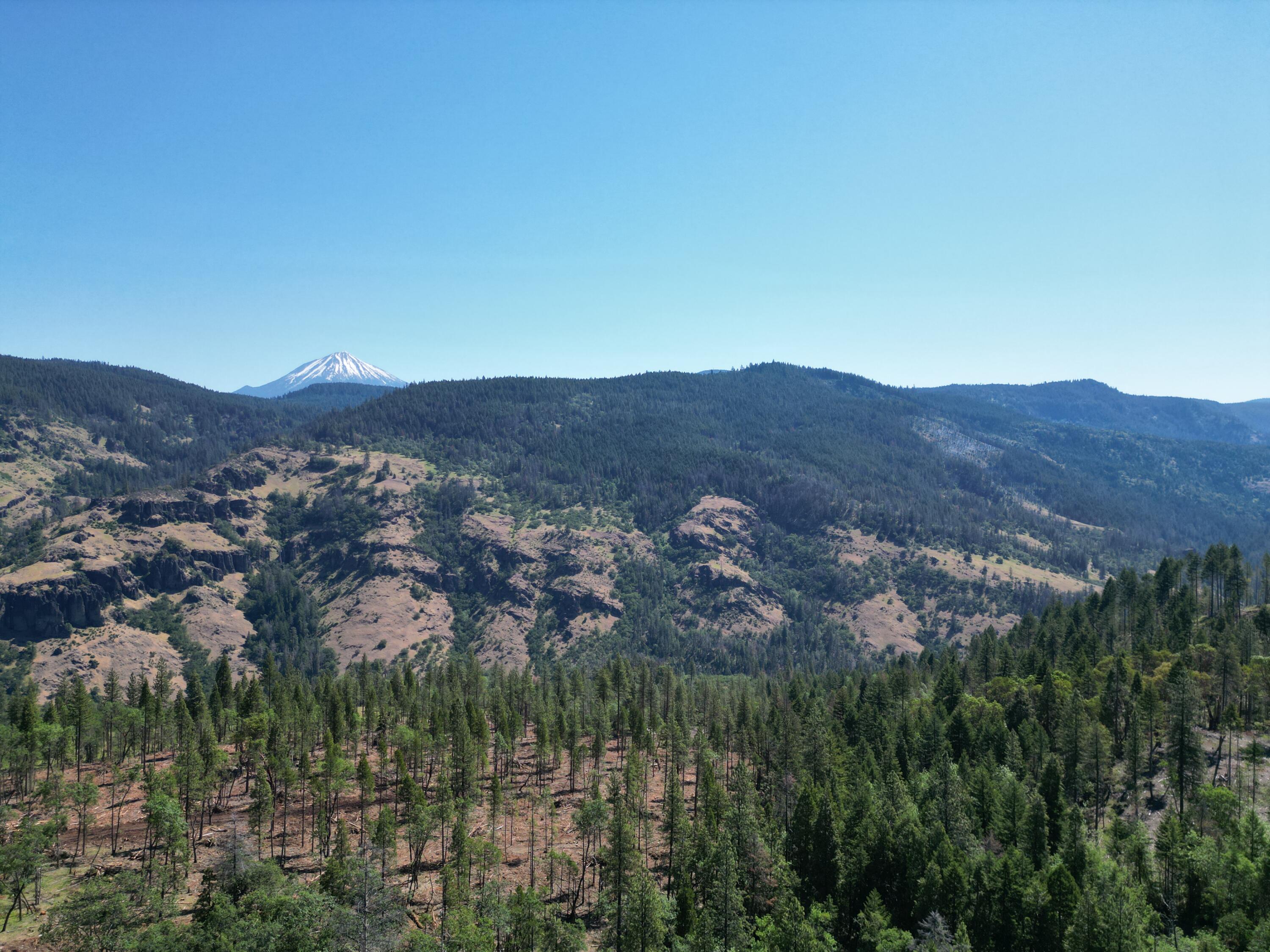 The North Fork Timber Tract invites the ultimate off-grid lifestyle—an escape to reconnect with nature. Envision your dream cabin, a peaceful sanctuary seamlessly integrated into natural surroundings, ensuring daily tranquility. Surrounded by public land and free from immediate neighbors, privacy and solitude are assured.

More than an investment, Approx750 MBF of merchantable timber standing on the property. An opportunity to forge an independent existence in harmony with the wild. Far from the madding crowd, yet accessible to modern comforts, it's a truly unique offering for those seeking their own wilderness haven.
