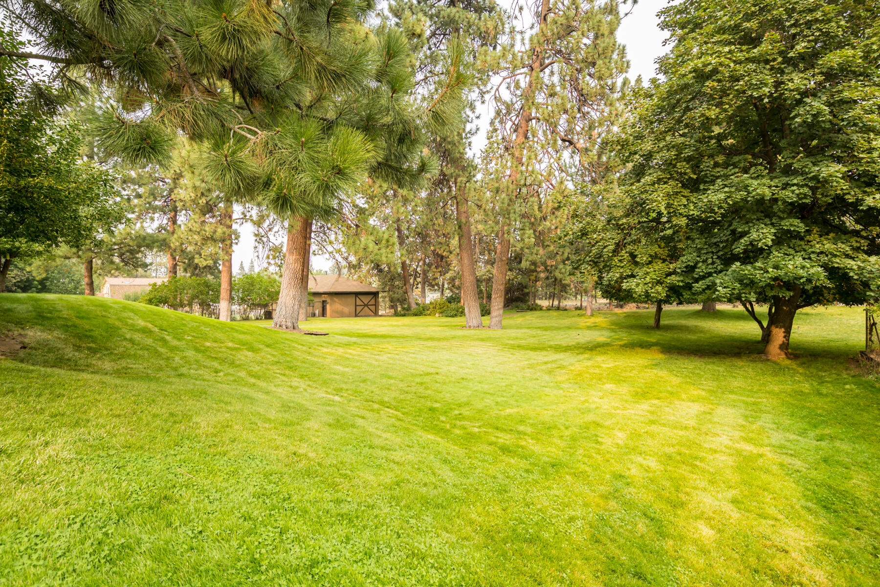 Ellis - Residential