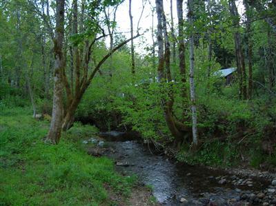 BEAUTIFUL LEVEL LAND WITH BABBLING YEAR ROUND CREEK THAT RUNS THROUGH THIS LIGHTLY WOODED .32 ACRE PARCEL.