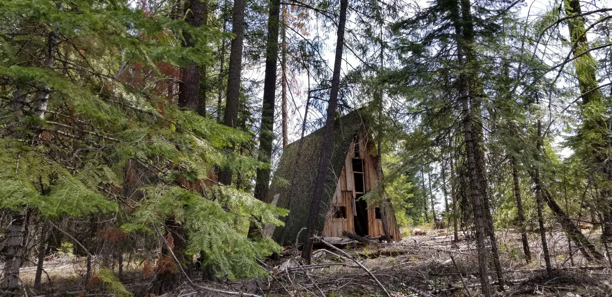 What a great end of the road location in Fox Hollow with a rustic A-Frame shelter!  Nicely treed .34 acre lot zoned R5 backing up to the Fremont-Winema National Forest offering a wide variety of activities such as fishing, hunting, backpacking, hiking, boating, snowmobiling and cross country skiing or just enjoy a scenic drive.  Not far from Rocky Point, Crater Lake Zip Line, Upper Klamath Lake, Fish Lake, Lake of the Woods, Aspen Lake, Aspen Butte, Pelican Butte, Mt. McLoughlin and the Sky Lakes and Mountain Lakes Wilderness Areas.  The Odessa Market with a gas station is conveniently located on Hwy 140.  Approximately 25 miles to Klamath Falls and 50 miles to Medford.   Buyer to conduct their own due diligence as to the suitability for Buyers intended use.  This could be the lot you're looking for!