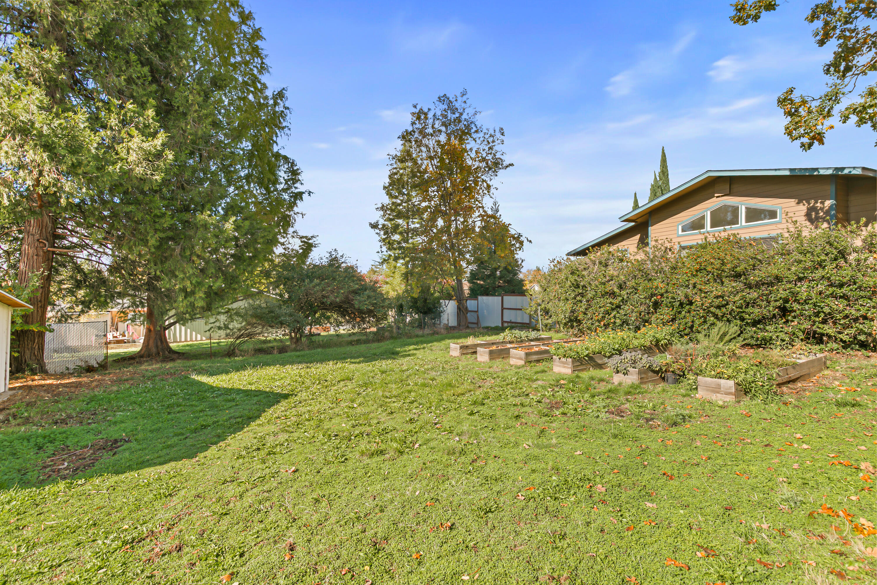 Nelson's - Residential