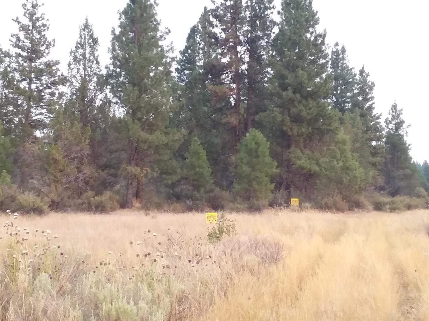 2 lots. Approximately 4.49 acres in the pines in the Bonanza Area. Close to Schools and town of Bonanza.