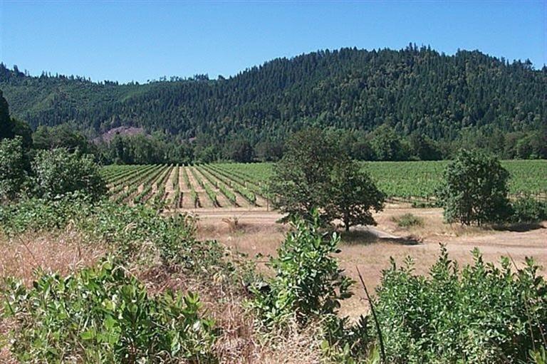 Stunning views over Vineyard to the mountains. This home has had many upgrades over the years and it shows. All double paned windows, enclosed sun room, all carpet. This home is a 3 bedroom 1.5 bath with approx. 1248 sq. ft. All major appliances are in new like condition. Home has radiant ceiling heat and a certified wood stove. A wall air conditioner is in place IF needed. Home is well insulated. There is an attached double car garage and RV parking with electrical to site. The deck allows you to sit out with your coffee and enjoy the beautiful views. Plenty of room for all your toys on this 3.58 acres.